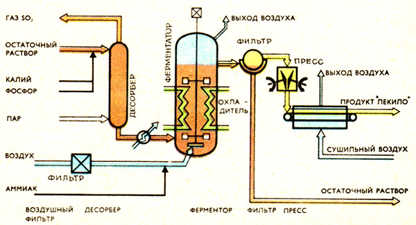 Схема процесса ПЕКИЛО