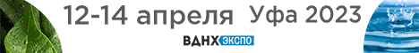 https://ecoforumbvk.ru/