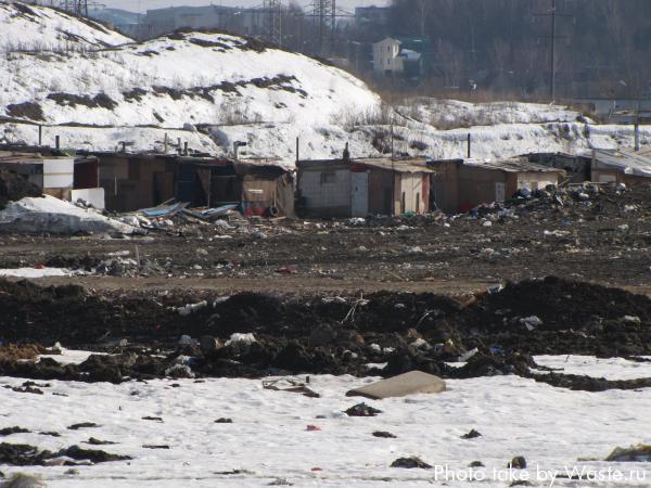 Жилье для рабочих на незаконной свалке возле аэропорта Шереметьево