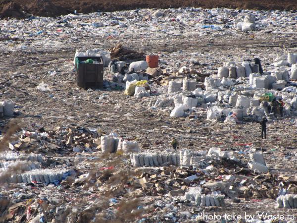 Заготовка вторсырья на cвалке возле аэропорта Шереметьево