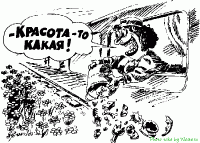 Красота-то какая!