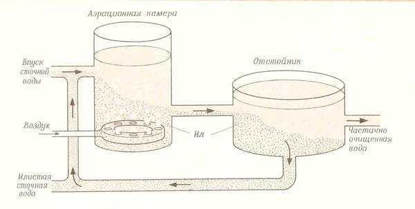 Схема очистки воды с участием активного ила