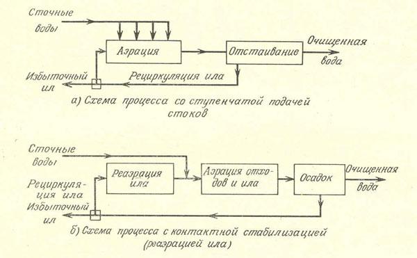 Схемы двух процессов биологического окисления